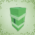 Bamboo